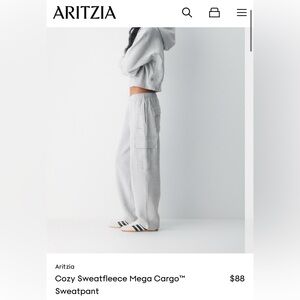 Aritzia Gray Cozy Sweatfleece Mega Cargo Sweatpant